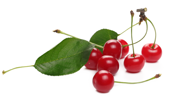 image of tart cherries with link to tart cherries product page